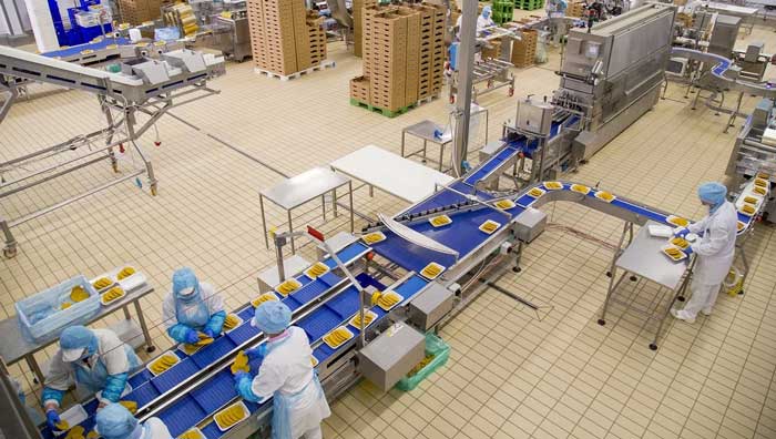 Martini Alimentare, digitale per efficienza energetica