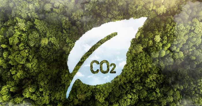 Destinazione Net Zero 2025, progressi lenti